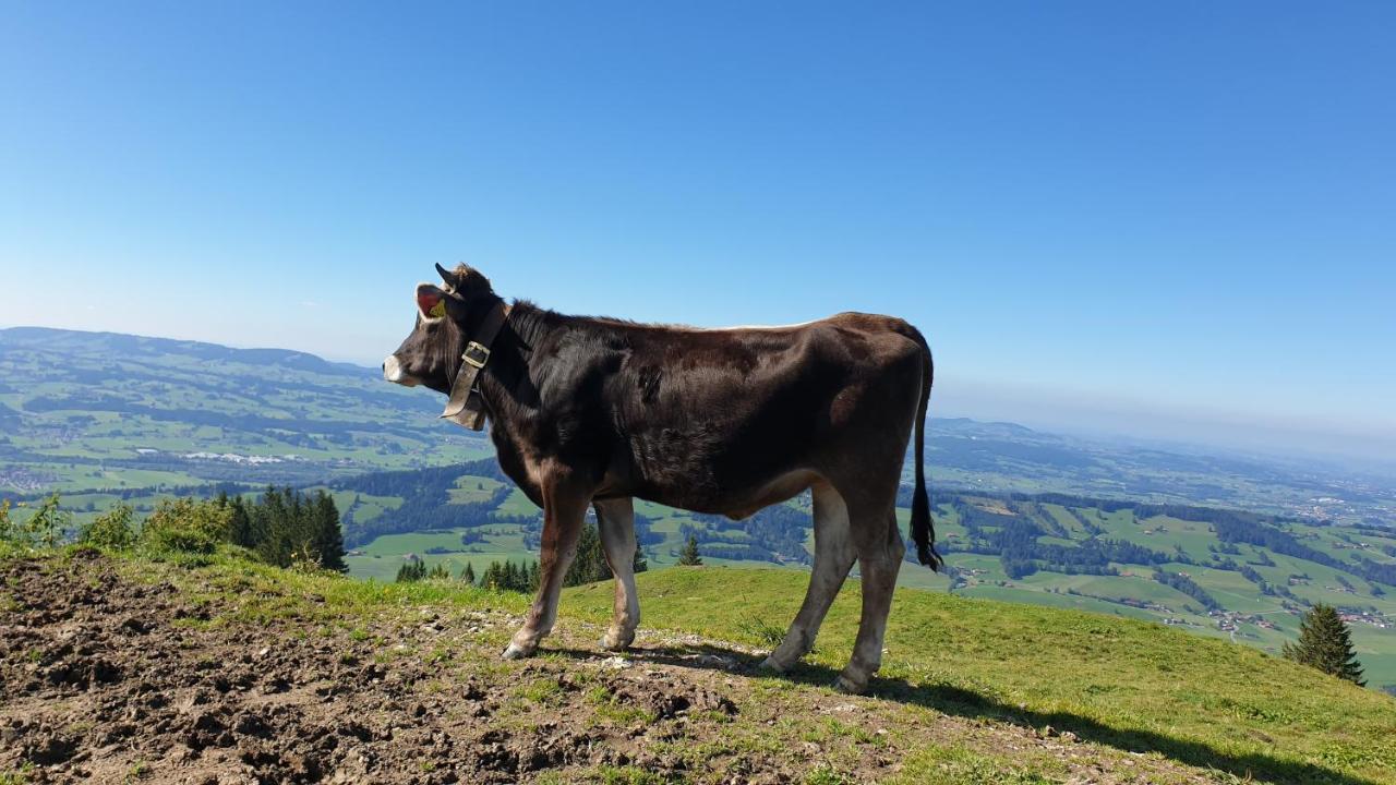 Allgaeu Bergluft Weitnau Esterno foto