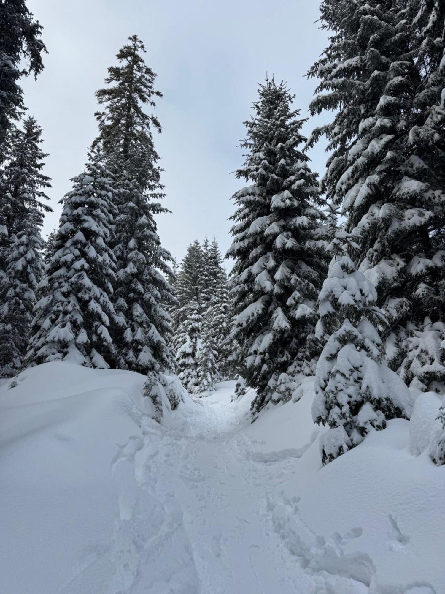 Allgaeu Bergluft Weitnau Esterno foto