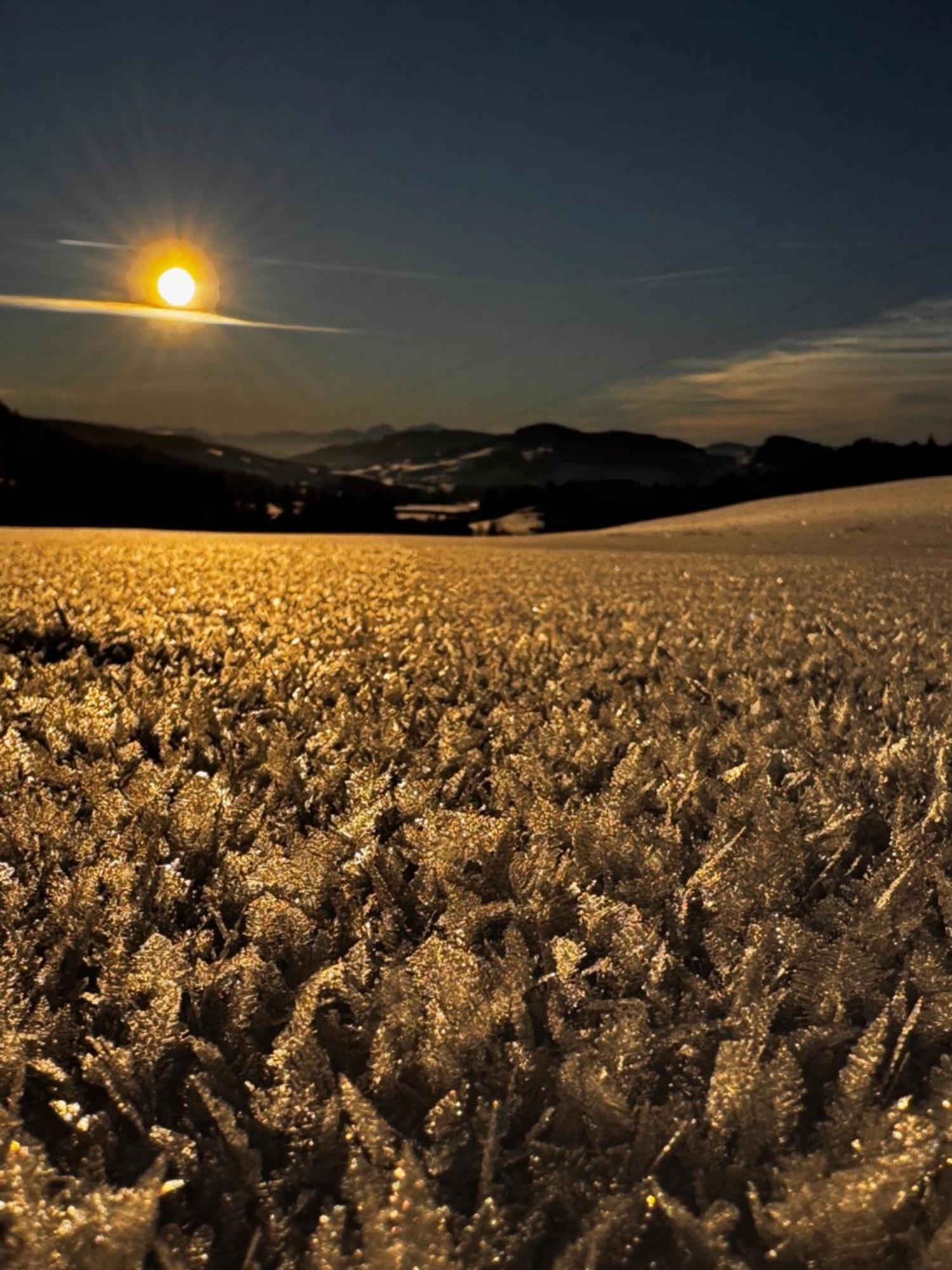 Allgaeu Bergluft Weitnau Esterno foto