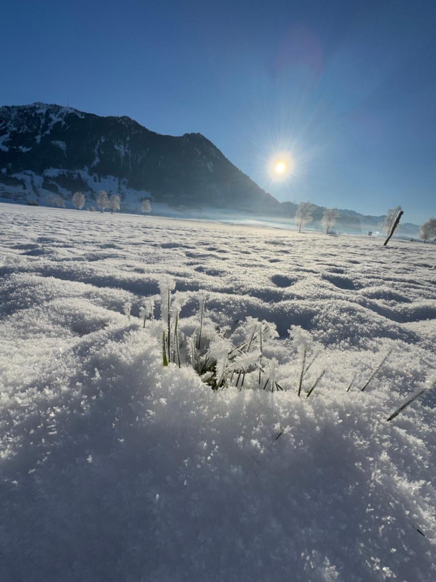 Allgaeu Bergluft Weitnau Esterno foto