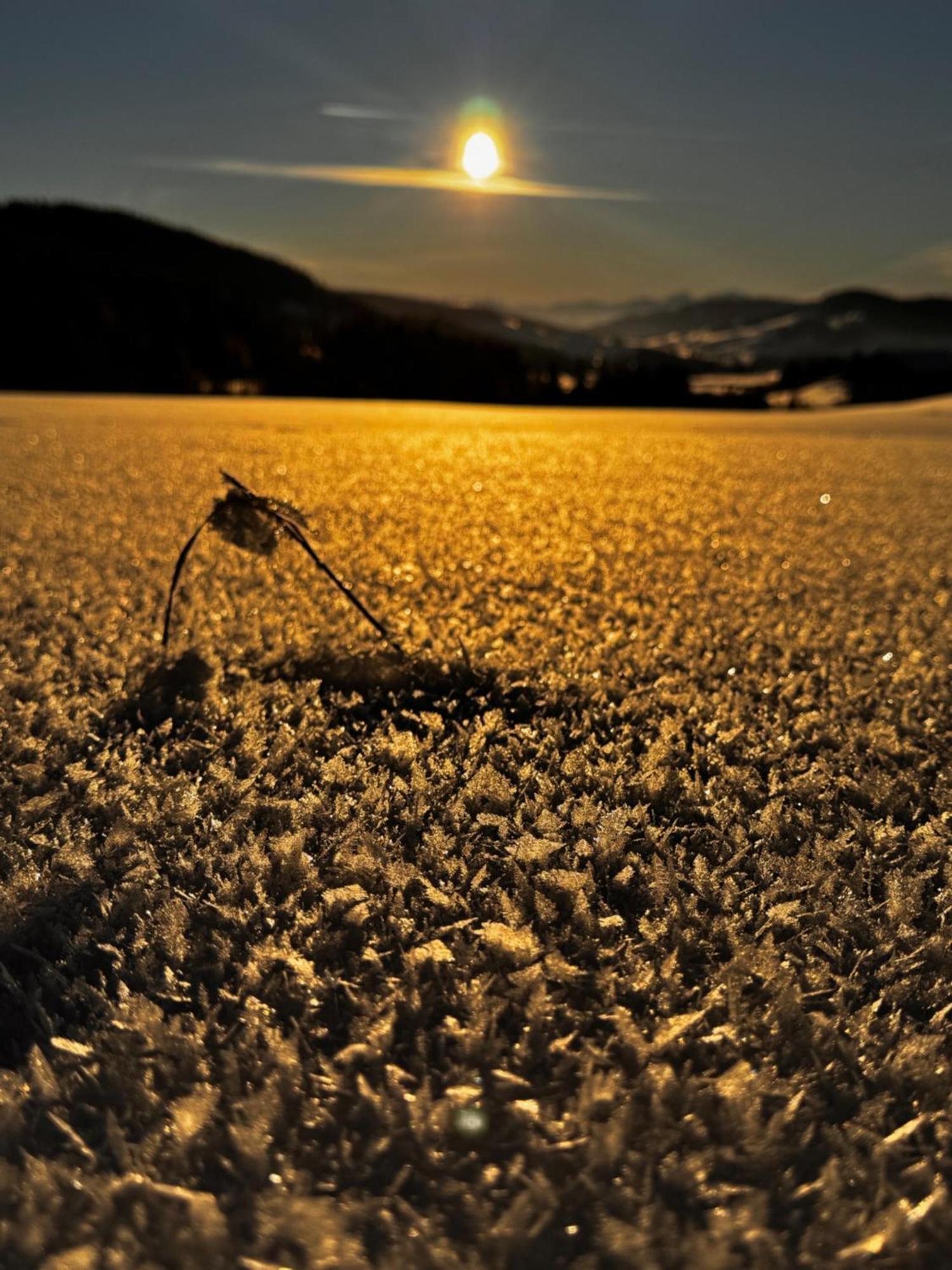 Allgaeu Bergluft Weitnau Esterno foto
