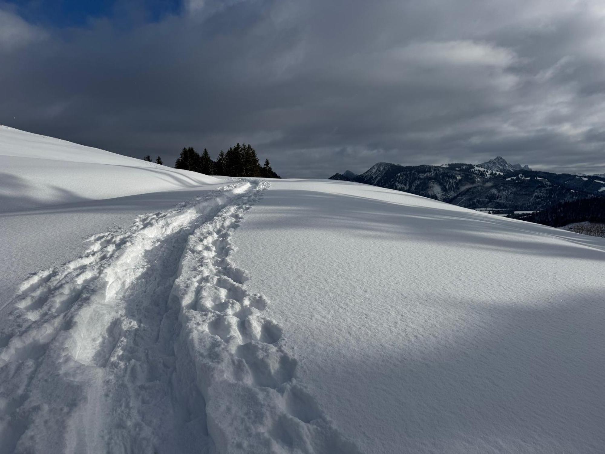 Allgaeu Bergluft Weitnau Esterno foto