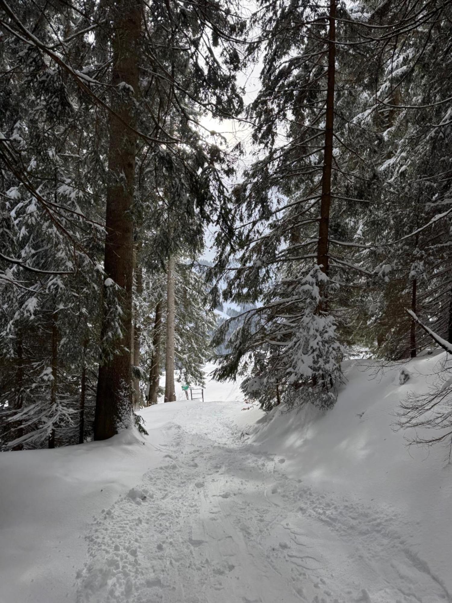 Allgaeu Bergluft Weitnau Esterno foto