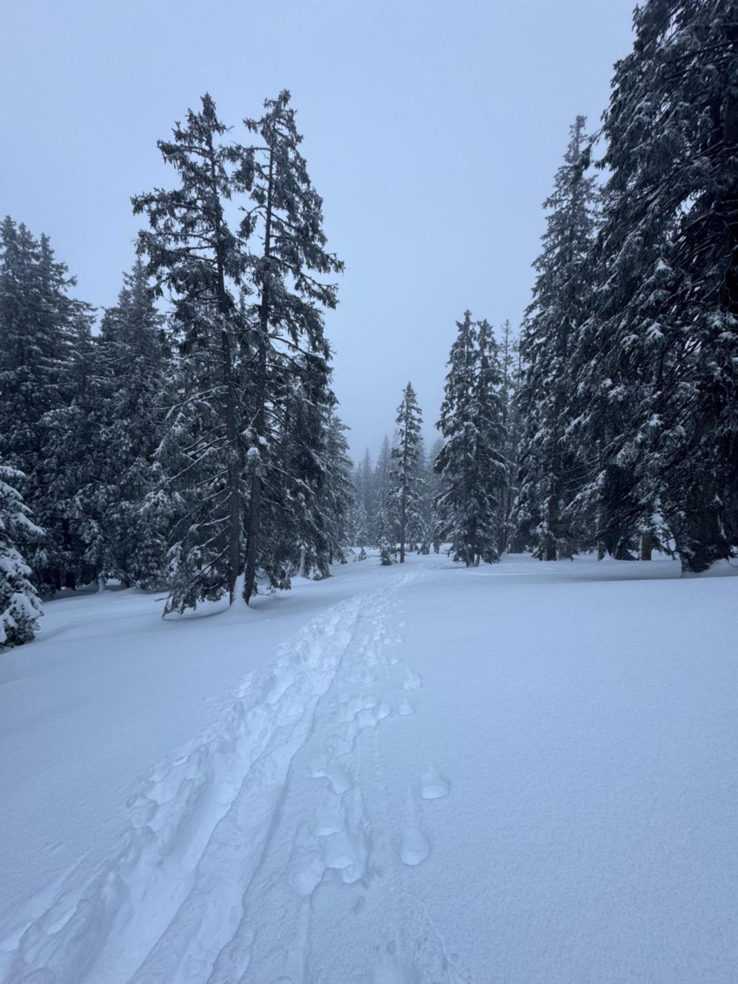 Allgaeu Bergluft Weitnau Esterno foto