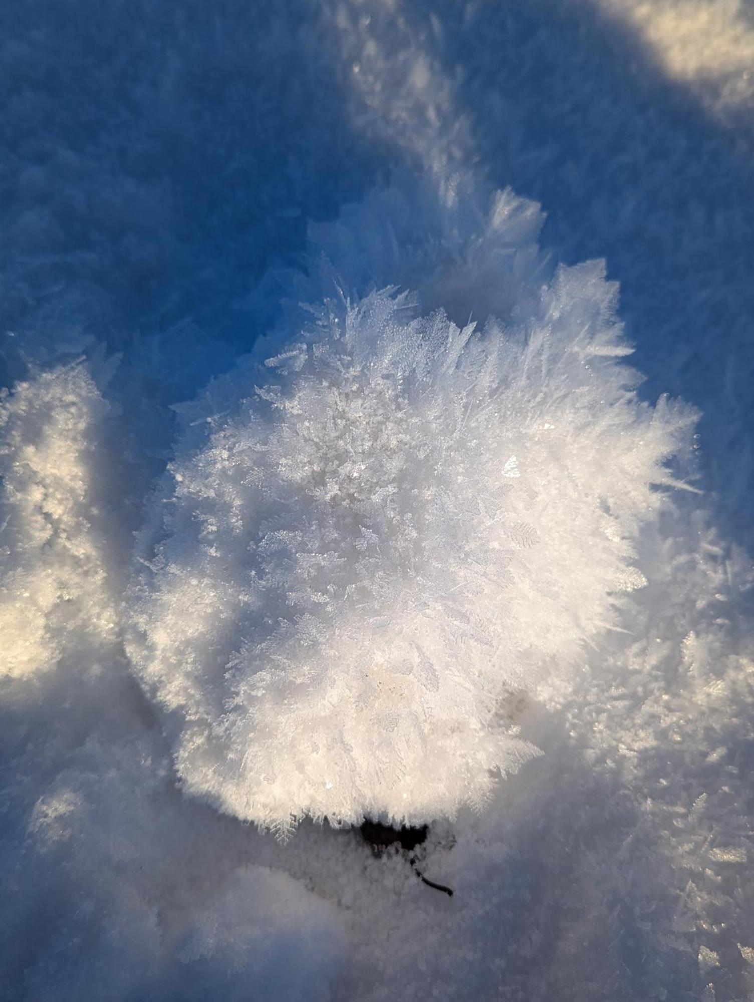 Allgaeu Bergluft Weitnau Esterno foto